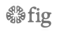 FIG